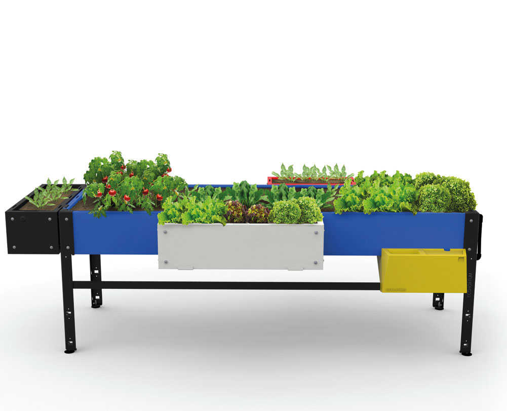 Una mesa de cultivo de estilo Mondrian